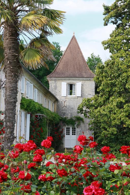 Chateau De Puyrigaud Bed and Breakfast Léoville Buitenkant foto