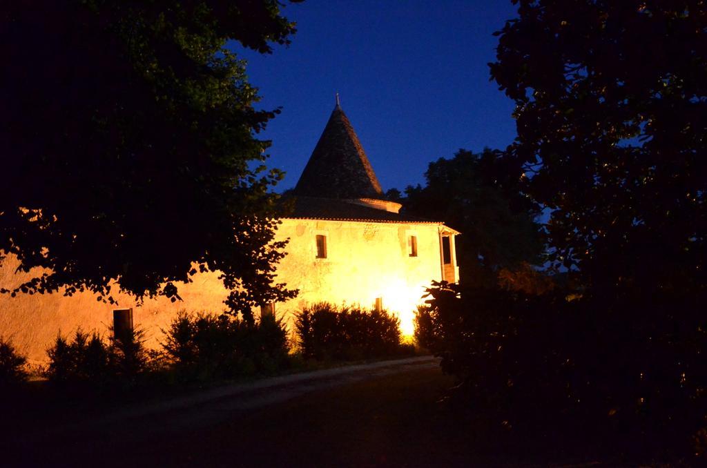 Chateau De Puyrigaud Bed and Breakfast Léoville Buitenkant foto